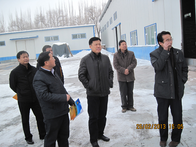 自治区农业厅党组副书记，副厅长来景刚到我公司加工厂指导工作