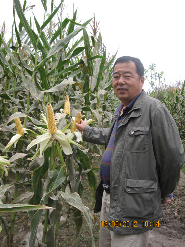 喀什地区种子管理站站长王新华参观我公司实验基地