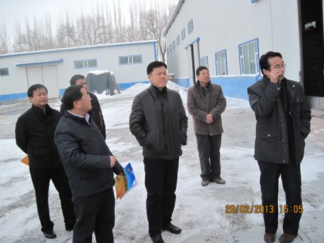 自治区农业厅党组副书记，副厅长来景刚到我公司加